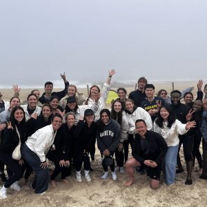 TEAM BUILDING & PICNICS